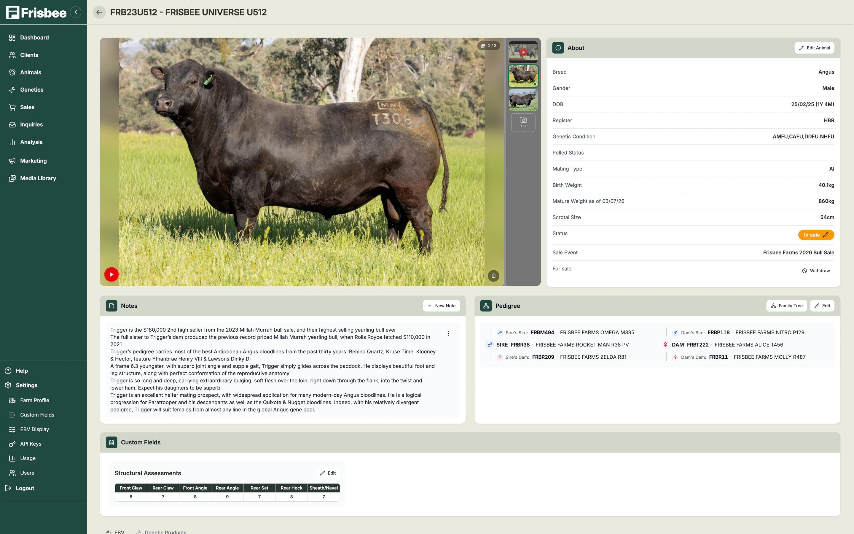 Animal Management — screenshot of the Frisbee platform