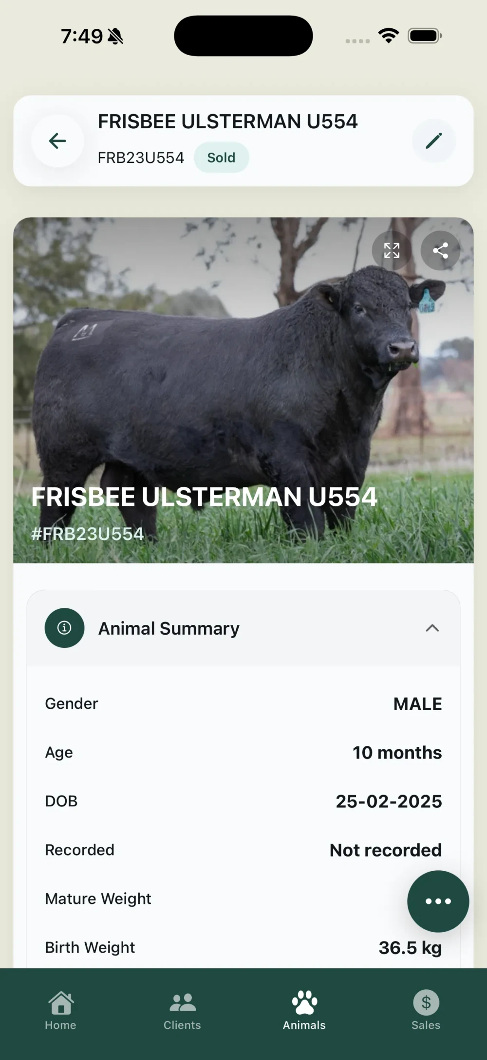 Frisbee animal detail screen on iPhone showing a bull's photo, ID, age, date of birth, and weights.